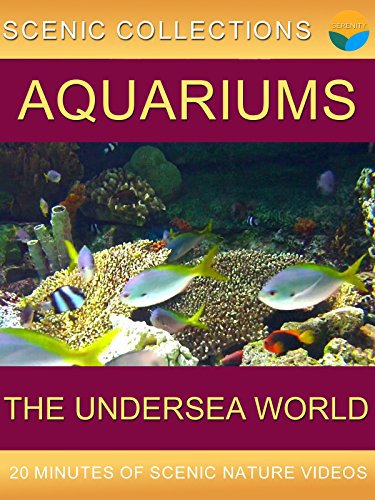 Aquariums (2007)
