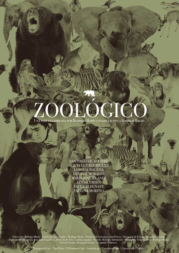 Зоопарк (2011)